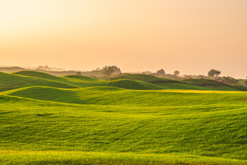 Soft sunlight bathes the landscape in a warm glow, highlighting the texture of the grass covering...