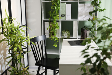 Biophilic interior design. Stylish workplace with laptop and houseplants in office