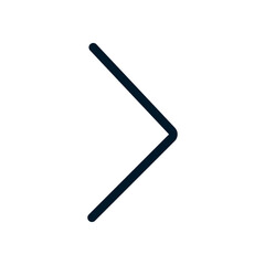 Next icon, Vector logo sign, Illustration, shape, design, UX UI icon, editable eps