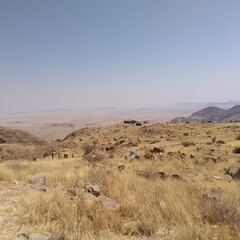landscape in the desert, AFRICA, NAMIBIA, DESERT, ROCKS, SAND, YELLOW GRASS, MOUNTAINS