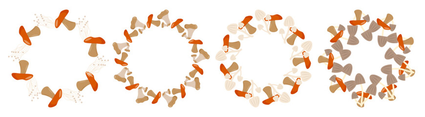 A collection of various mushrooms arranged in a circular pattern. The mushrooms display different colors and shapes, showcasing their natural diversity