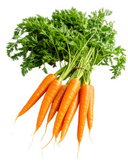 Bunch of fresh carrots with green leaves on transparent background