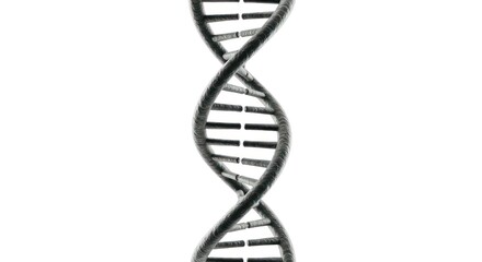 Double helix dna structure isolated on white background.