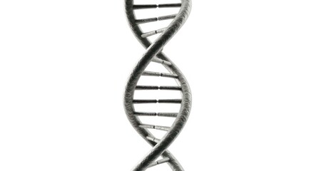 Double helix dna structure isolated on white background representing genetics and biology.