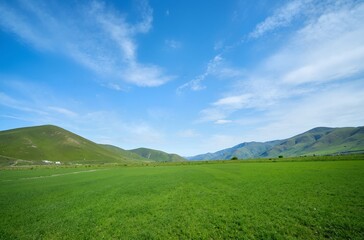 Obraz premium landscape with green grass and blue sky