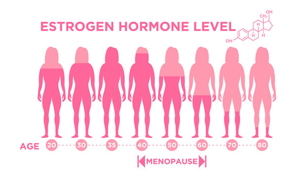 Estrogen hormone level chart, woman's menopausal age descriptive illustration.