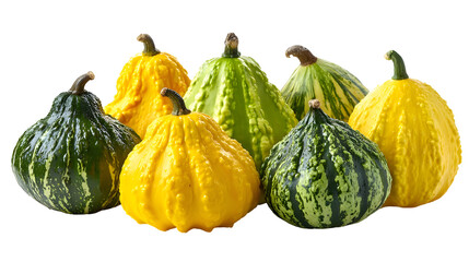 Assortment of colorful gourds isolated on transparent background