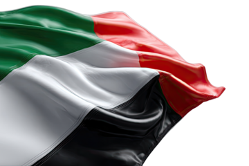 Close-up of a waving flag (1)