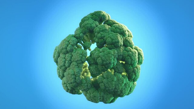 A digitally rendered animation of a broccoli crown
