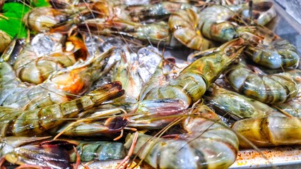Group of freshly caught shrimp sale on seafood market. Close up of fresh shrimps on ice with dry...