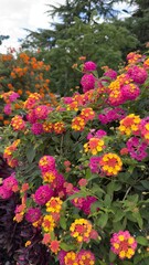 pink and yellow flowers