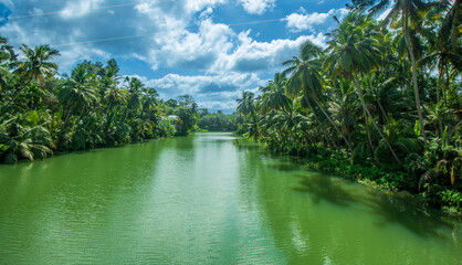 Landscape of Kanyakumari, Tamil Nadu, India.