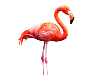  Vintage Style Plastic Flamingo with Retro Garden Vibes, Isolated Cutout