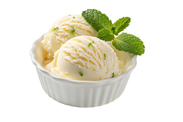 Delicious vanilla ice cream with fresh mint leaves in white bowl ready to enjoy dessert treat