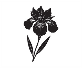 Elegant Iris Flower Illustration Black and White Minimalist Floral Design for Prints and Digital Art Projects