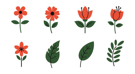 A collection of colorful flowers and leaves on white background