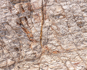 Close-up of Monterey Formation shale at Jalama Beach. The fossiliferous shale dates back to the...