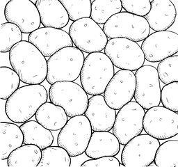 Many potatoes drawn in black and white food agriculture