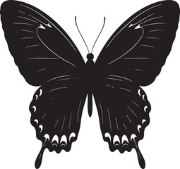 butterfly vector in silhouette