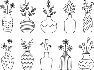 Various vases with floral arrangements flower plant
