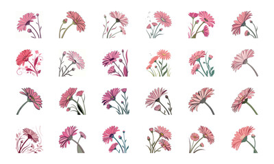 Collection of 24 Beautiful Colorful Flower Illustrations Featuring Daisies, Tulips, Hibiscus, Sunflowers, Plumeria, Roses, Lilies, Lavender, and Mixed Botanical Art Elements in Elegant Hand-Drawn Styl
