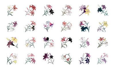 Collection of 24 Beautiful Colorful Flower Illustrations Featuring Daisies, Tulips, Hibiscus, Sunflowers, Plumeria, Roses, Lilies, Lavender, and Mixed Botanical Art Elements in Elegant Hand-Drawn Styl