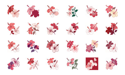 Collection of 24 Beautiful Colorful Flower Illustrations Featuring Daisies, Tulips, Hibiscus, Sunflowers, Plumeria, Roses, Lilies, Lavender, and Mixed Botanical Art Elements in Elegant Hand-Drawn Styl