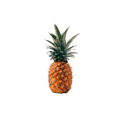 A single pineapple with green spiky leaves isolated against a plain black background in a studio...