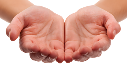 Two open hands offering a space for support and connection, symbolizing care and trust, isolated on a white background.