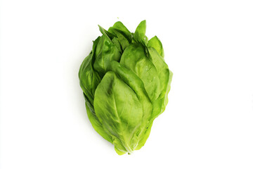 a green leafy vegetable on a white surface
