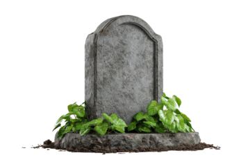 Gray gravestone with plants
