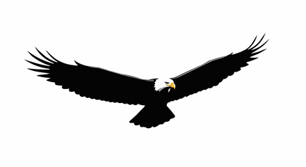 Naklejka premium eagle in flight