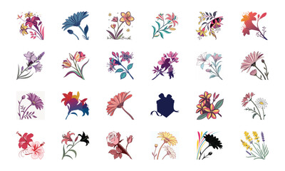 Collection of 24 Beautiful Colorful Flower Illustrations Featuring Daisies, Tulips, Hibiscus, Sunflowers, Plumeria, Roses, Lilies, Lavender, and Mixed Botanical Art Elements in Elegant Hand-Drawn Sty
