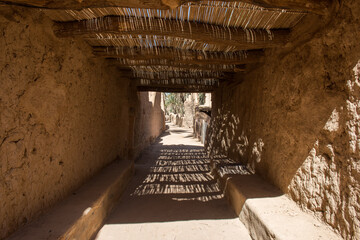 AlUla - Landscape - Oasis (Saudi Arabia)