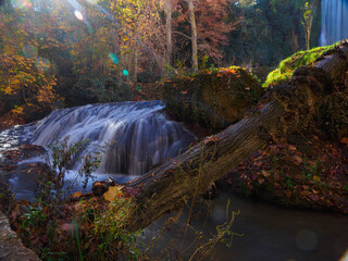 Scenic view of waterfall in forest,Monasterio de Piedra,Spain