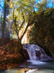 Scenic view of waterfall in forest,Monasterio de Piedra,Spain