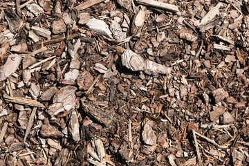 Natural wooden mulch texture background. Dry bark chips and organic wood pieces. Eco friendly...