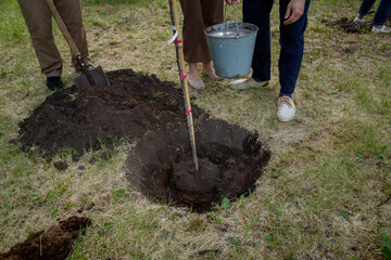 City landscapers work planting young trees in the park