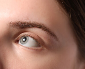 Fototapeta premium Eyebrow styling. Young woman with beautiful eyebrow, closeup