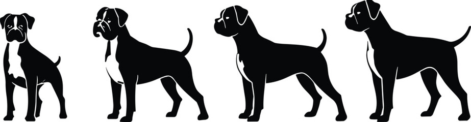 Boxer dog breed silhouettes, muscular standing poses, cropped ears, docked tails, forward and side profile, purebred canine pet illustration, guard animal artwork