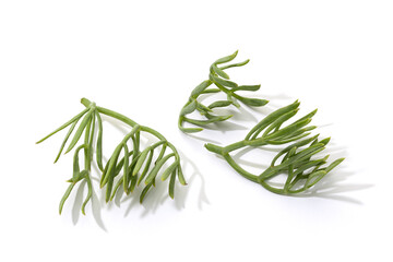 Fresh Sea fennel leaves isolated on white background. Crithmum maritimum
