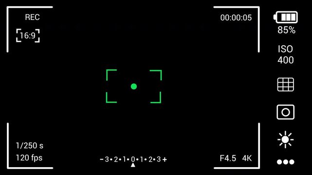 Realistic camera recording overlay with animated REC sign, real timer, focus frame, battery, ISO, shutter speed and video info, OSD for video editing, VFX and footage projects, alpha channel BG