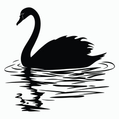 Swan gliding on lake silhouette
