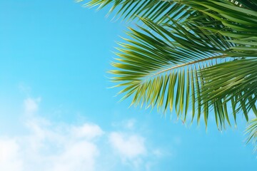 Fototapeta premium Tropical palm leaves swaying in the wind against a clear blue sky, creating a serene and idyllic summer scene