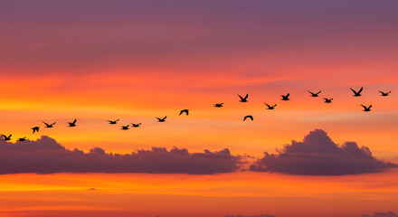 Obraz premium Silhouetted birds gracefully flying across vibrant orange sky at sunset.