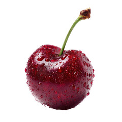 Single, ripe, glistening cherry with stem and water droplets against black