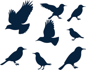 Elegant sparrow vector icon set, ideal for bird art, eco branding, wildlife logos, and decorative nature illustrations.