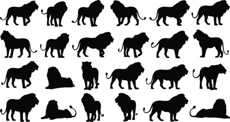 Lion silhouette grid, 24 poses, black animal shapes, walking, sitting, standing, lying, PNG, vector, wildlife clipart, majestic
