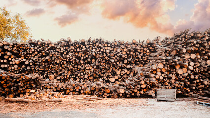 Large stack of freshly cut firewood logs piled high outdoors under colorful evening sky, showing...