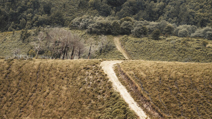 Winding dirt path running along grassy hilltop with sparse burnt trees in the background,...